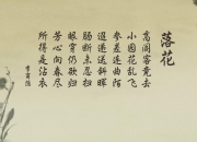 开云APP-世界杯上的阿拉伯呐喊，拉亚的爆发与哥斯达黎加的史诗对决