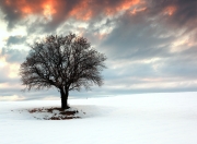 开云体育中国-新王炸诞生？班凯罗47+12打崩恩比德，鹈鹕七人上双擒76人