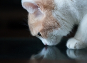 开云官网-双赢的谎言，当穆勒闪耀时，毕尔巴鄂真的强势拿下了吗？