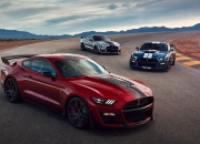 开云体育入口-另一种节奏，当东契奇掀翻传统，欧文在伯纳乌写下自己的规则