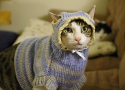 开云-后场双星53分撕碎十冠功勋，保罗一把钥匙打开两扇时代之门