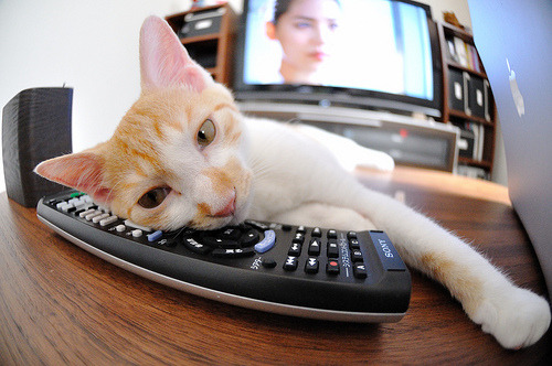 从曼城到罗马城,争冠与逆转的双重奏