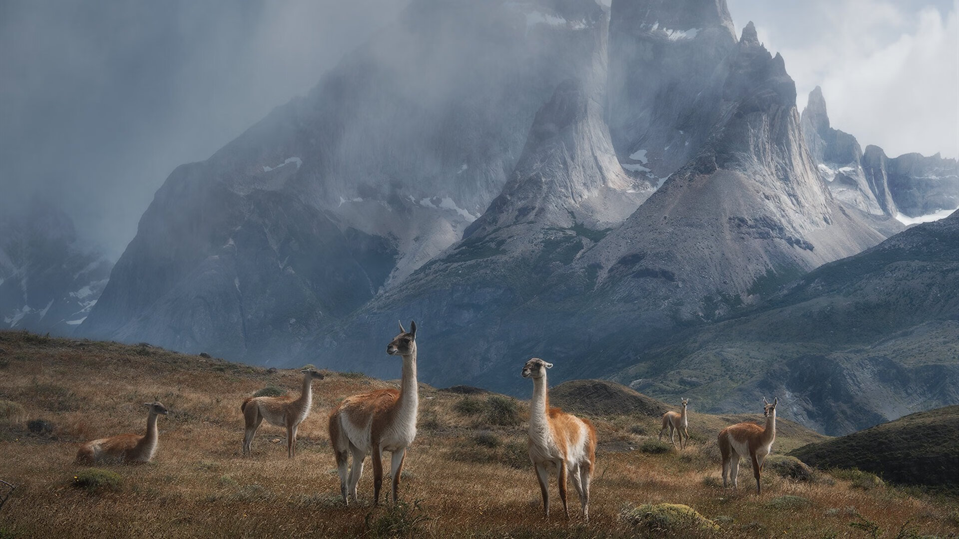 落日熔金时,哈利伯顿终场绝响与太阳对山西的战术审判