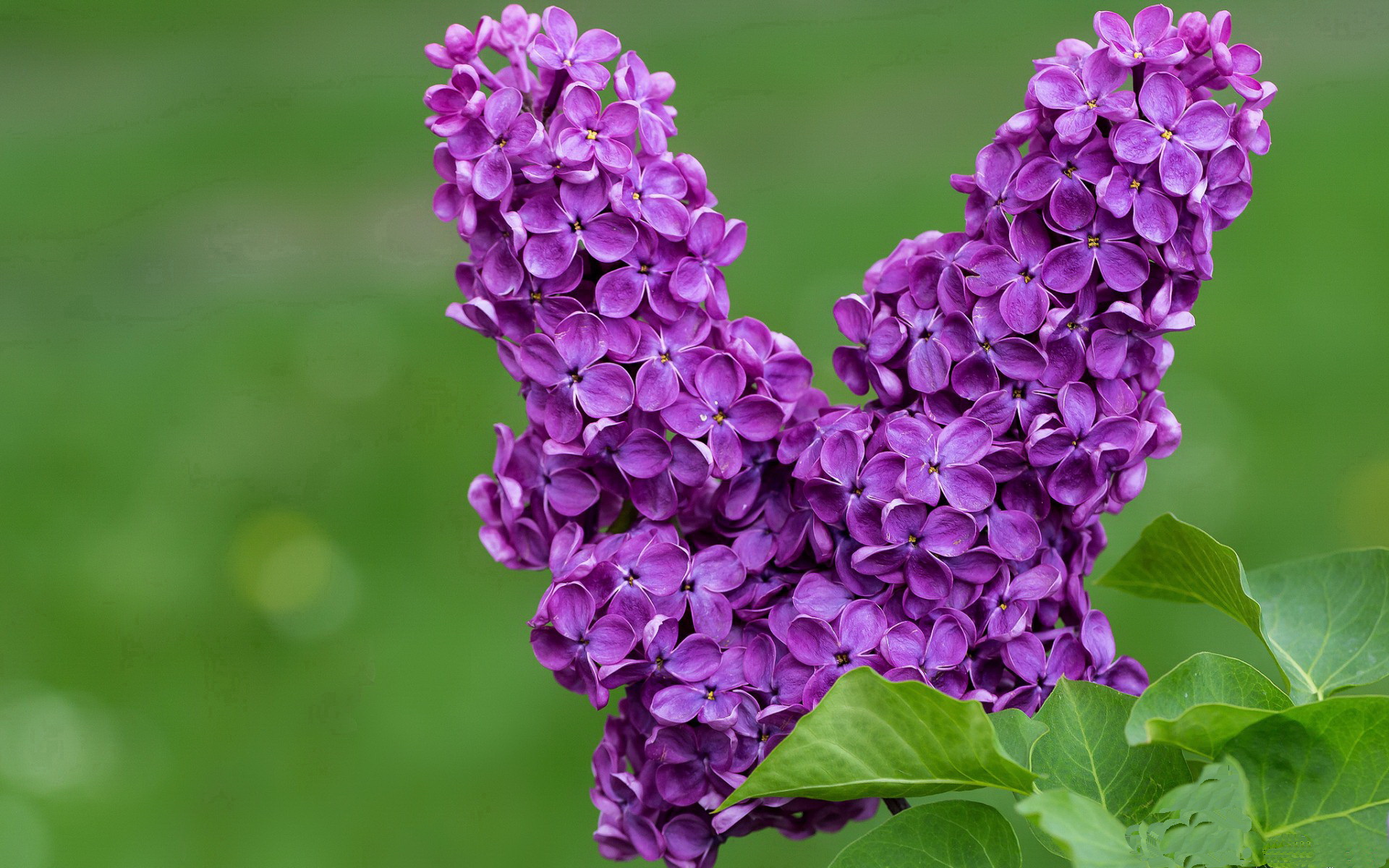 看到这个激动人心的主题,我为你构思了一个富有戏剧张力的标题和一篇充满现场感的文章