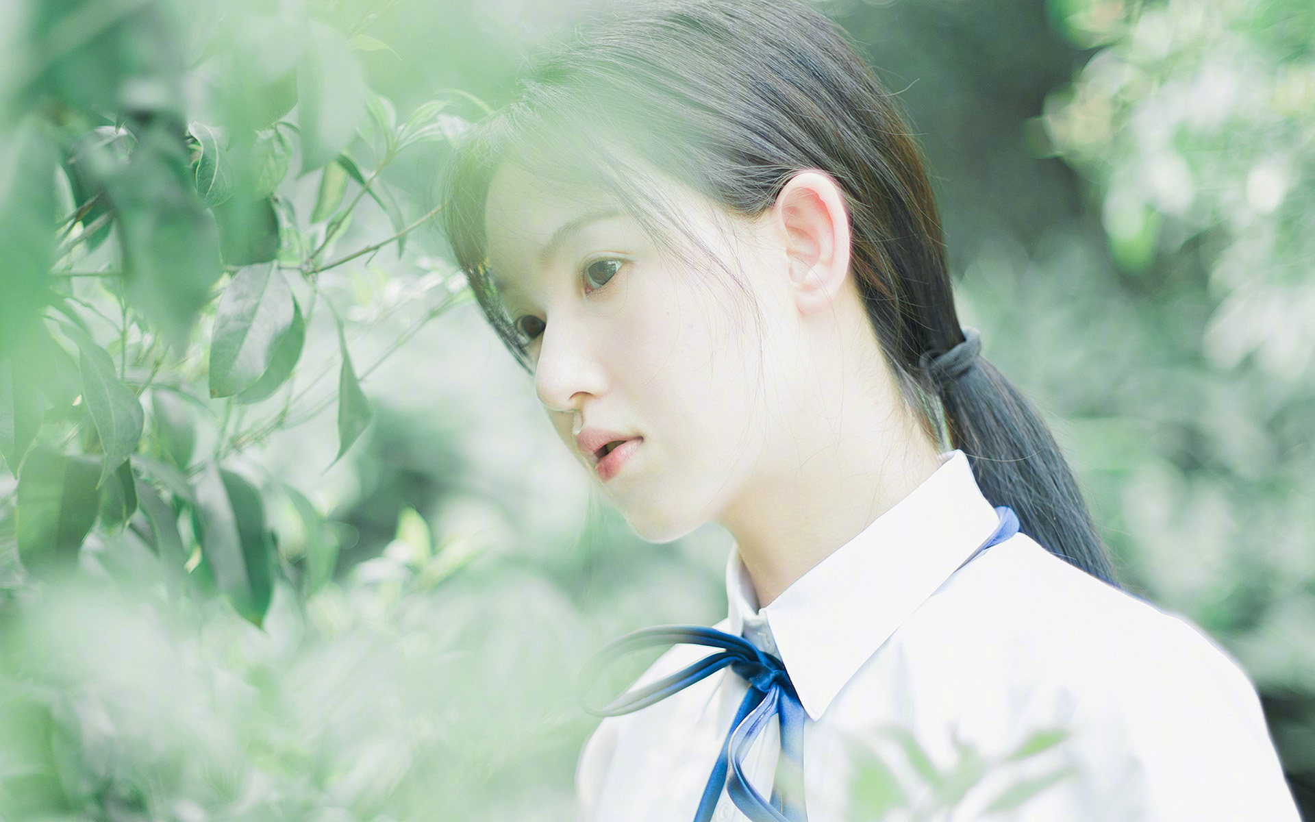 狼的图腾,戈贝尔史诗级觉醒,广厦悬崖边的猎杀之战