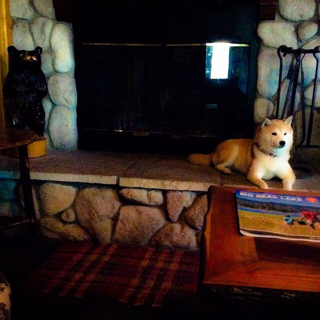 F1极速狂飙与绿茵教科书,当巴林赛道轰鸣遇见久保建英的精准艺术