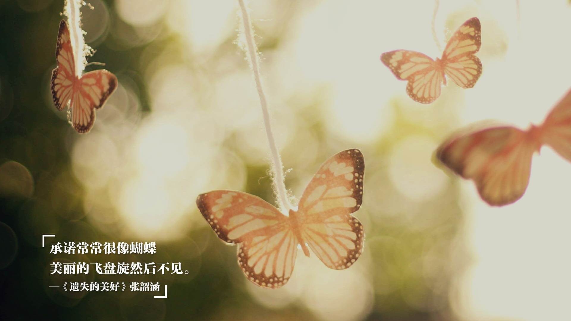 双面掌控力，哈利伯顿的魔法之手与热火的钢铁洪流