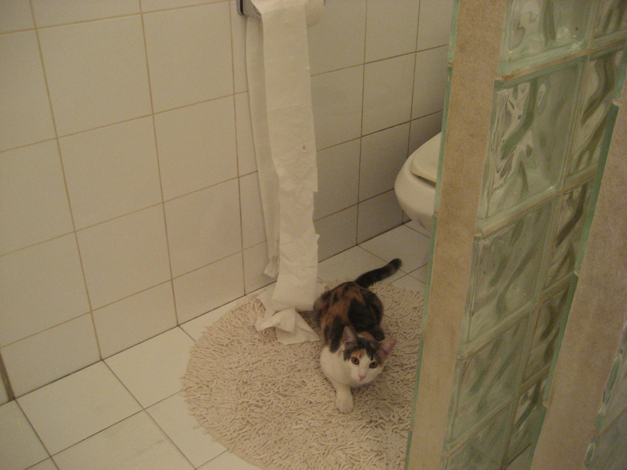 生死战狂飙45分!布克末节接管比赛,开拓者主场击退巨人杀手吉林队晋级四强