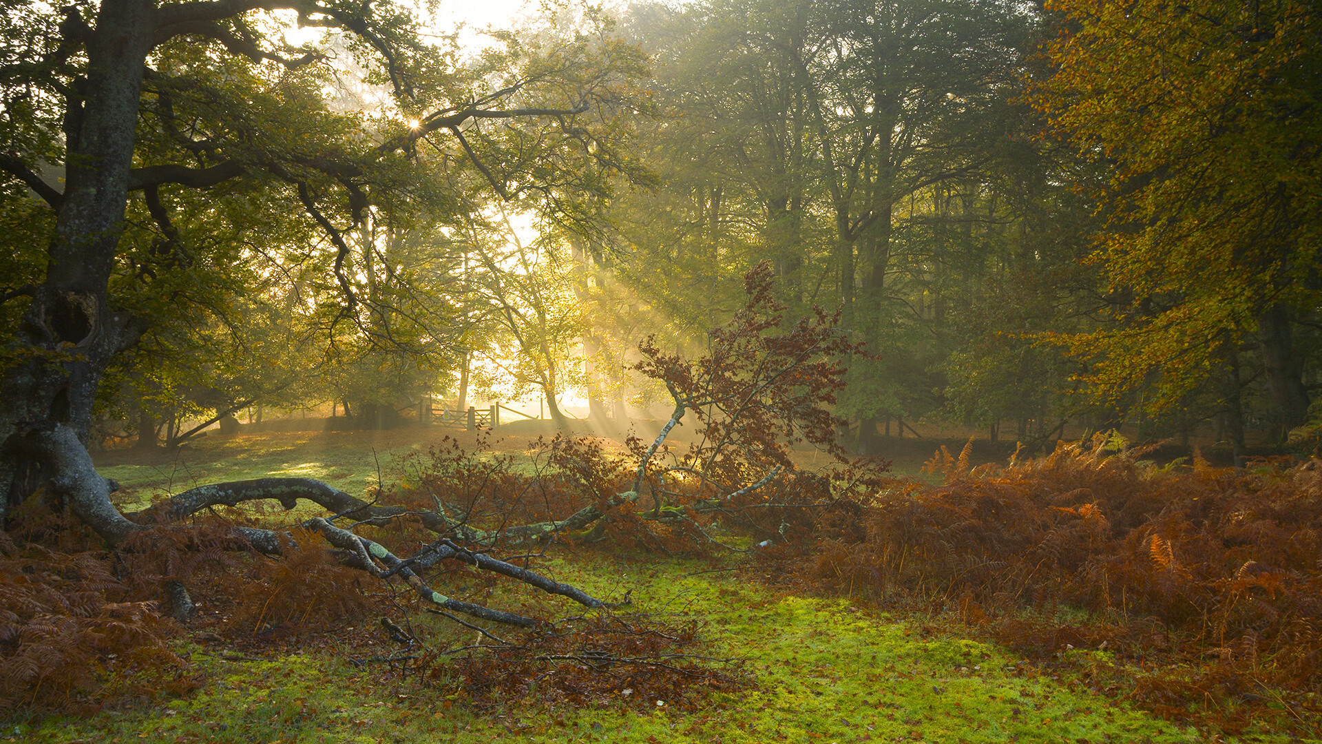 铁血纪律与孤胆传奇,年度战役双重奏
