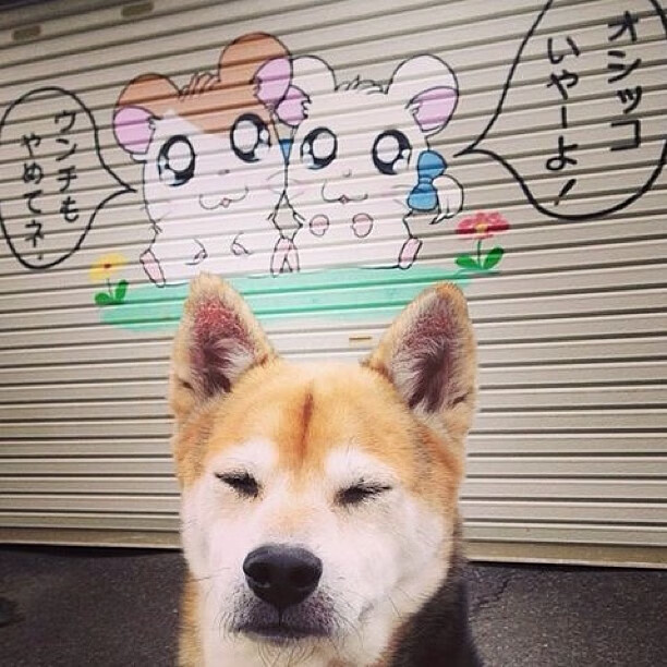 当手术刀遇见狂想曲，范弗利特完美控场与爵士火力交响下的唯一性胜利