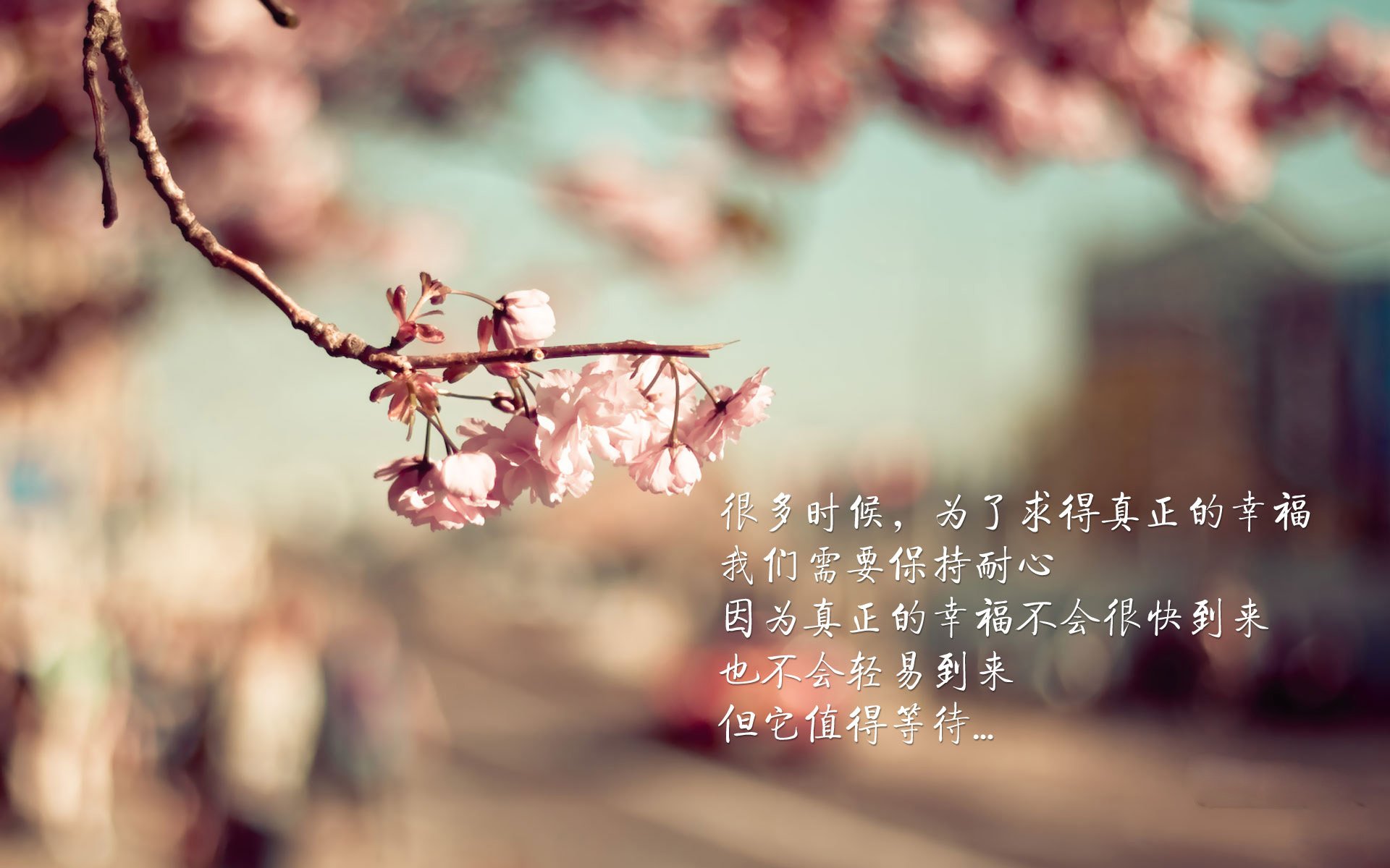 唯一性,当绝杀与接管,成为命运不容篡改的签名