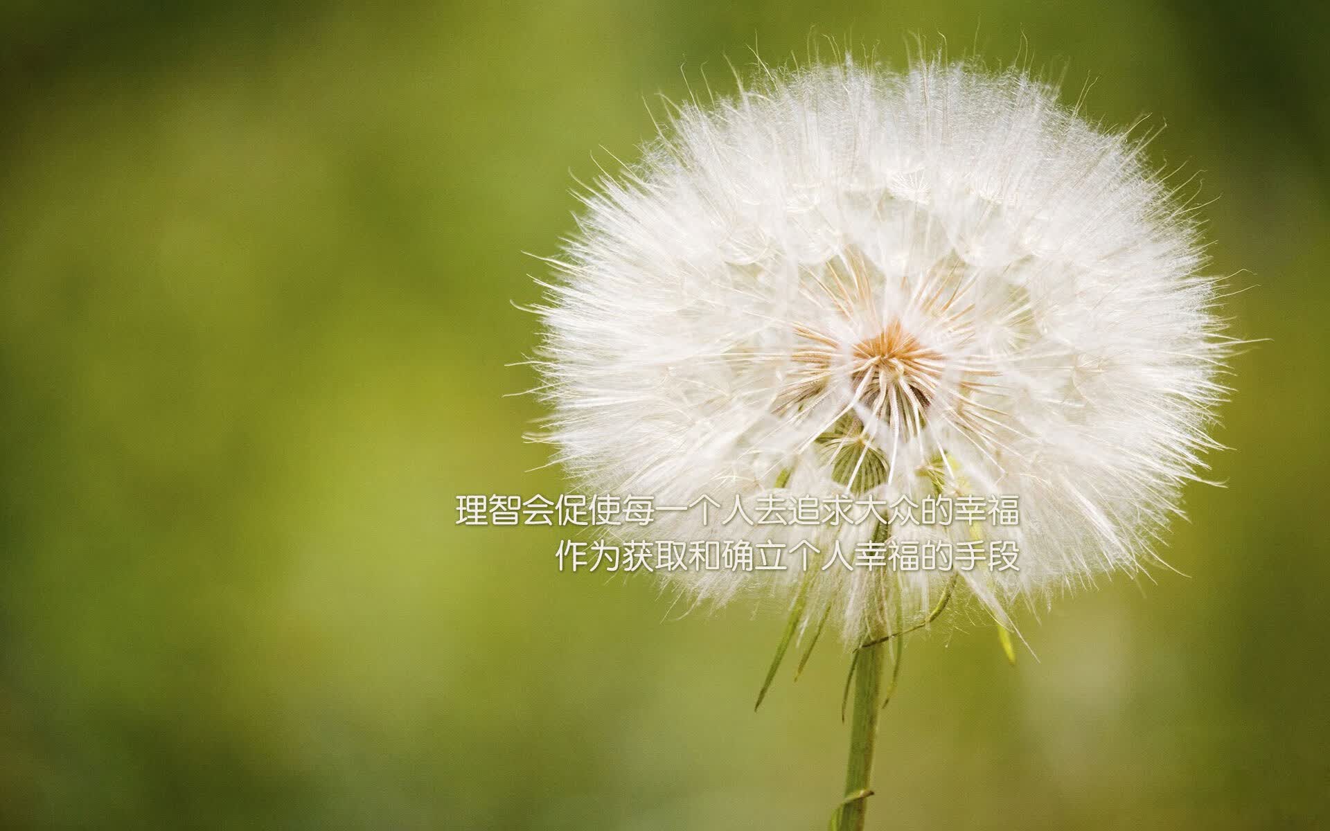 流金之夜，独行者的歧路与归途