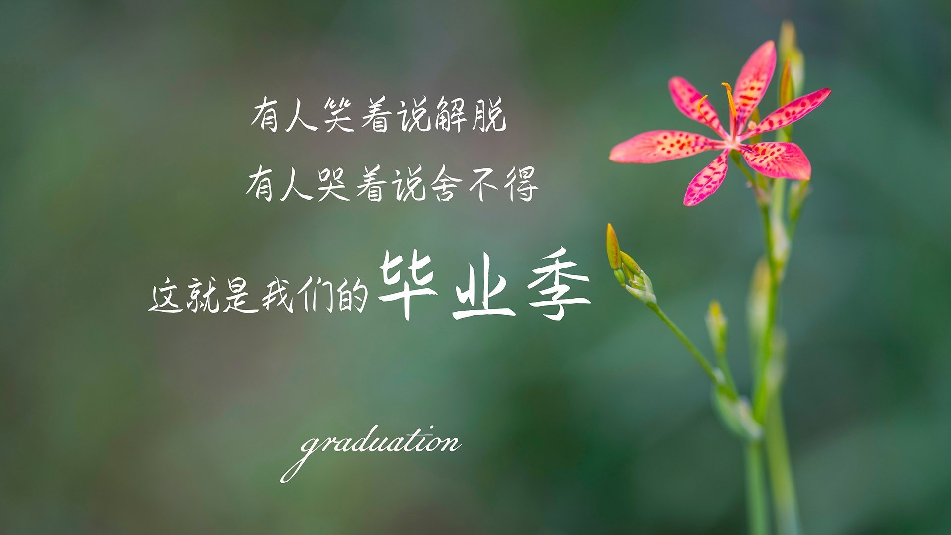 地中海的蓝与安第斯山脉的红，2026之夏，布罗佐维奇用第三只眼撕开秘鲁防线